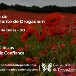 Tratamento de Drogas em Guarani de Goiás - GO | Clínica de Recuperação