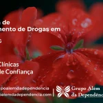 Tratamento de Drogas em Ibiá - MG | Clínica de Recuperação