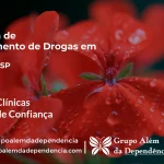 Tratamento de Drogas em Ibiúna - SP | Clínica de Recuperação