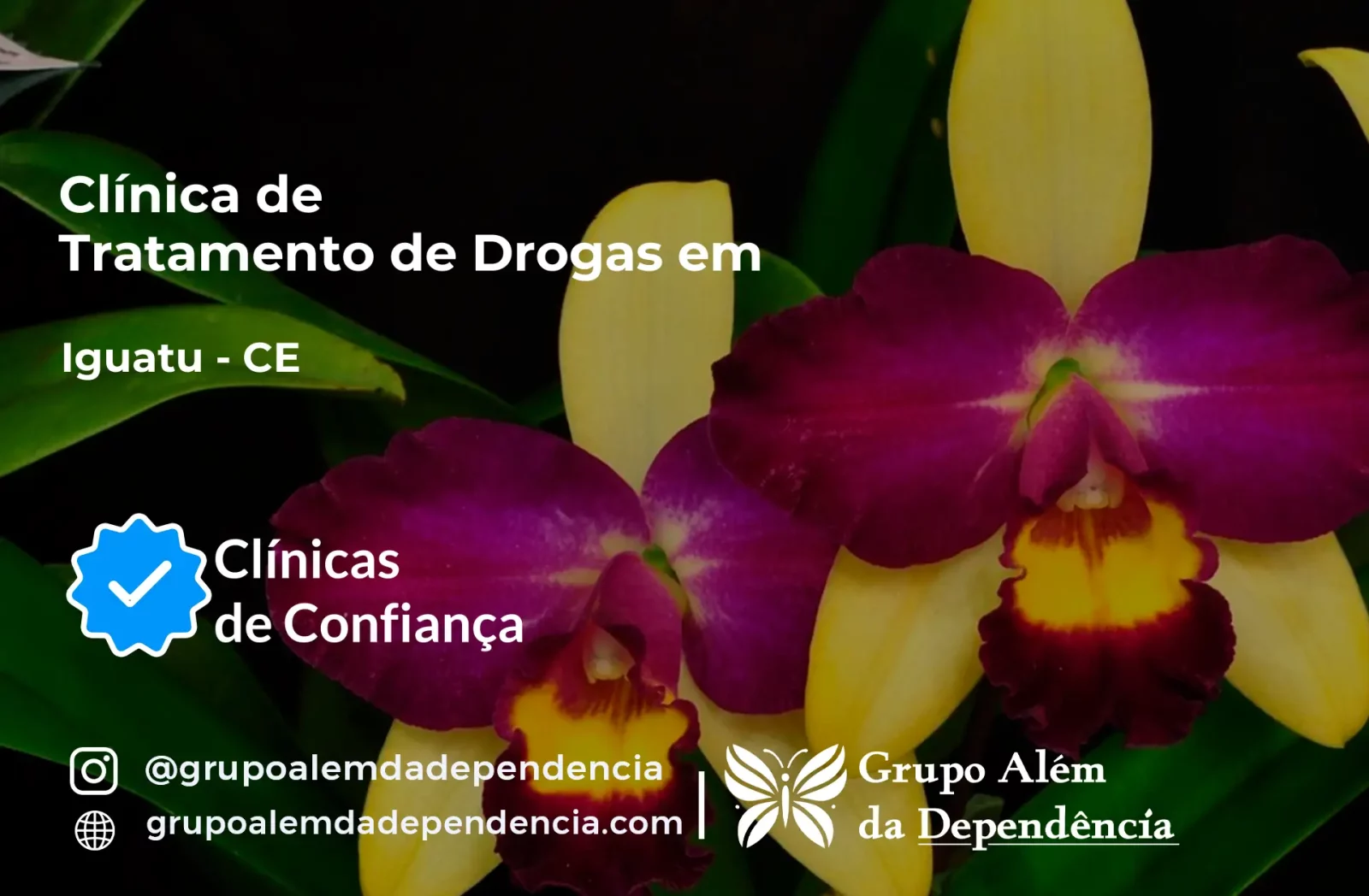 Tratamento de Drogas em Iguatu - CE | Clínica de Recuperação