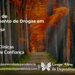Tratamento de Drogas em Irapuã - SP | Clínica de Recuperação