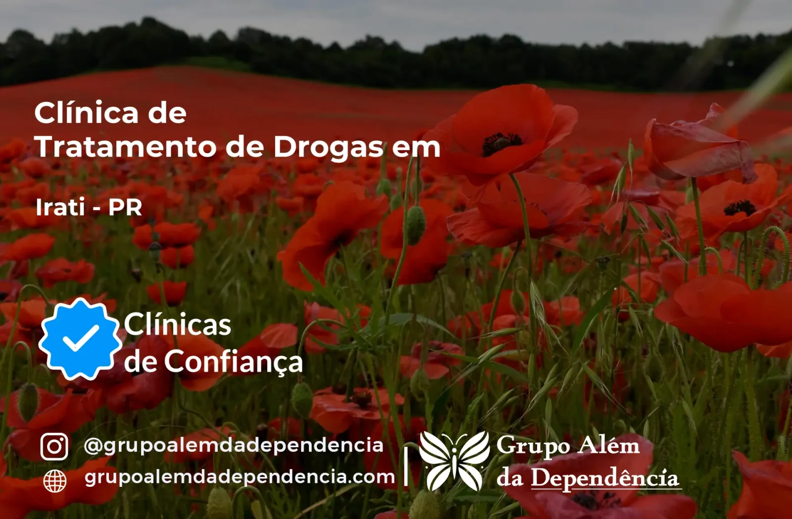 Tratamento de Drogas em Irati - PR | Clínica de Recuperação