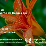 Tratamento de Drogas em Itati - RS | Clínica de Recuperação