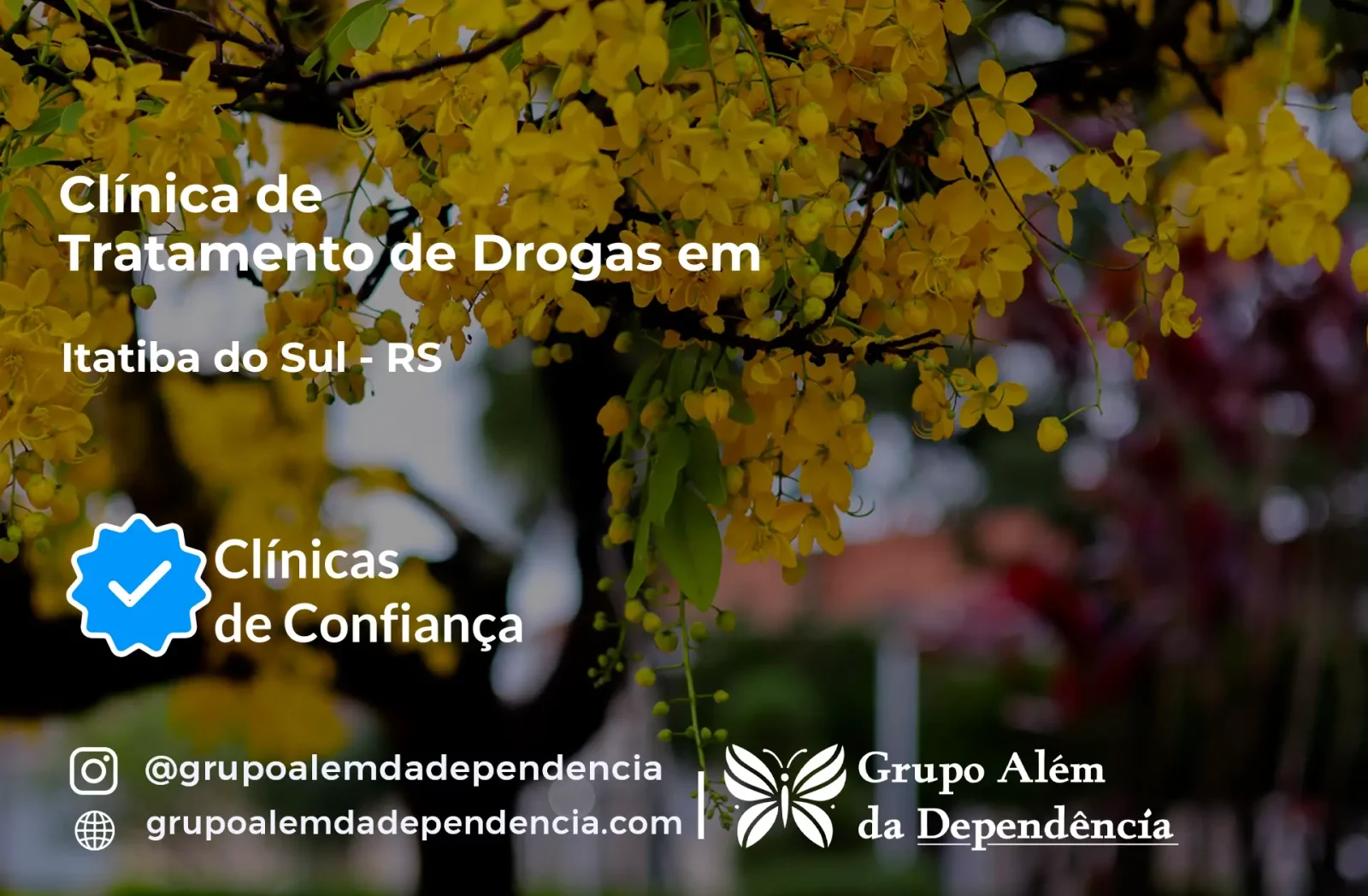 Tratamento de Drogas em Itatiba do Sul - RS | Clínica de Recuperação