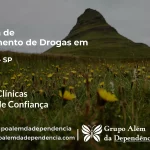 Tratamento de Drogas em Jacareí - SP | Clínica de Recuperação