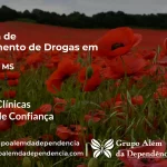 Tratamento de Drogas em Japorã - MS | Clínica de Recuperação