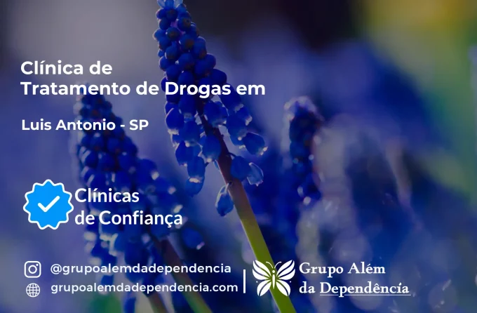 Tratamento de Drogas em Luís Antônio - SP | Clínica de Recuperação