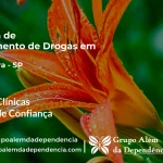 Tratamento de Drogas em Mairiporã - SP | Clínica de Recuperação