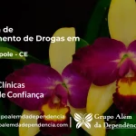 Tratamento de Drogas em Martinópole - CE | Clínica de Recuperação