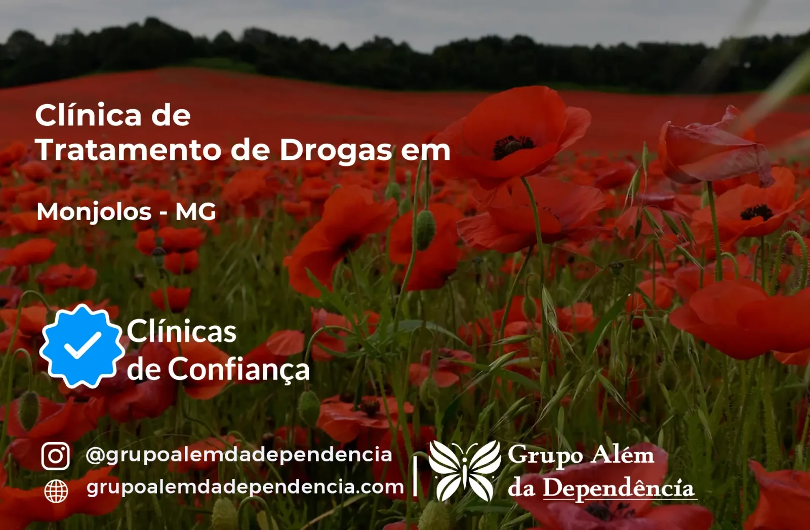 Tratamento de Drogas em Monjolos - MG | Clínica de Recuperação
