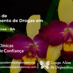 Tratamento de Drogas em Nova Canaã - BA | Clínica de Recuperação