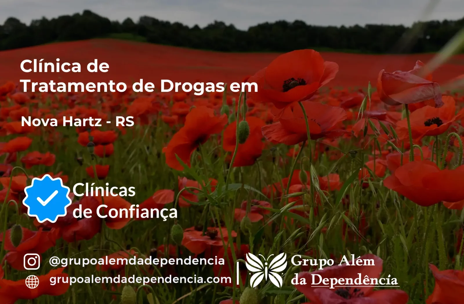 Tratamento de Drogas em Nova Hartz - RS | Clínica de Recuperação