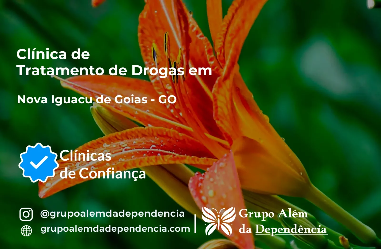 Tratamento de Drogas em Nova Iguaçu de Goiás - GO | Clínica de Recuperação