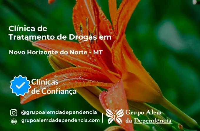 Tratamento de Drogas em Novo Horizonte do Norte - MT | Clínica de Recuperação