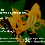 Tratamento de Drogas em Nuporanga - SP | Clínica de Recuperação