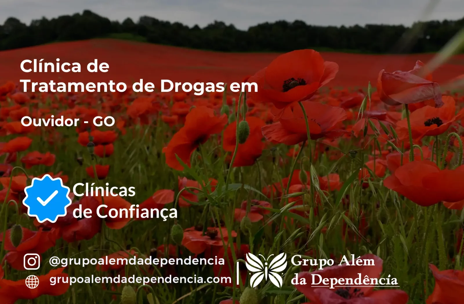 Tratamento de Drogas em Ouvidor - GO | Clínica de Recuperação