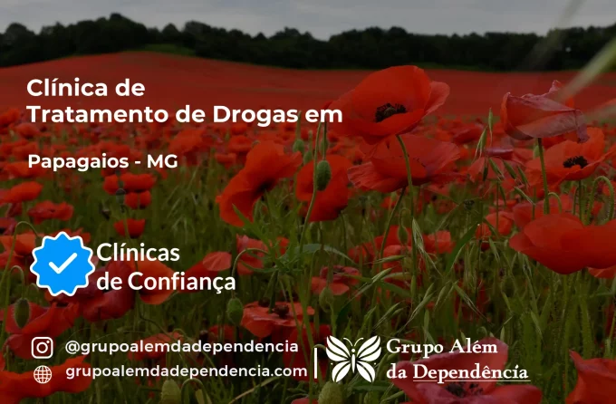 Tratamento de Drogas em Papagaios - MG | Clínica de Recuperação