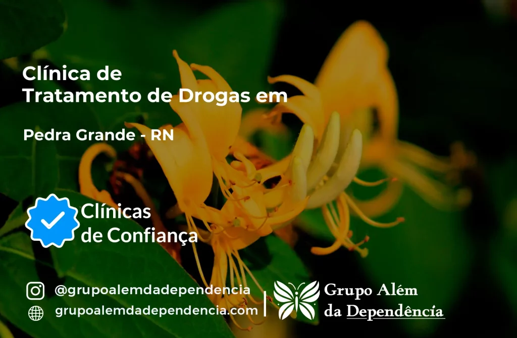 Tratamento de Drogas em Pedra Grande - RN 1 Tratamento de Drogas em Pedra Grande - RN | Clínica de Recuperação