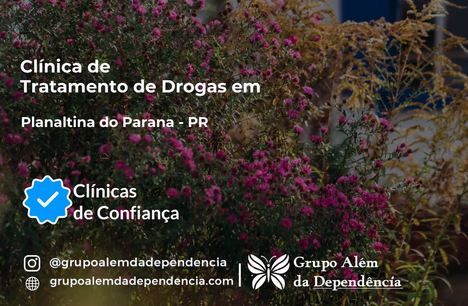 Tratamento de Drogas em Planaltina do Paraná - PR | Clínica de Recuperação