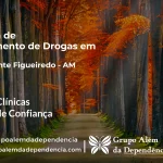 Tratamento de Drogas em Presidente Figueiredo - AM | Clínica de Recuperação