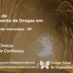 Tratamento de Drogas em Presidente Venceslau - SP | Clínica de Recuperação
