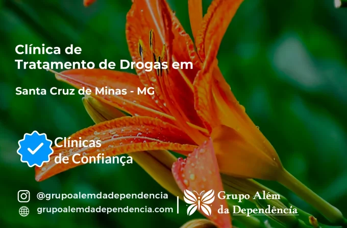 Tratamento de Drogas em Santa Cruz de Minas - MG | Clínica de Recuperação