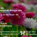 Tratamento de Drogas em Santa Cruz do Rio Pardo - SP | Clínica de Recuperação