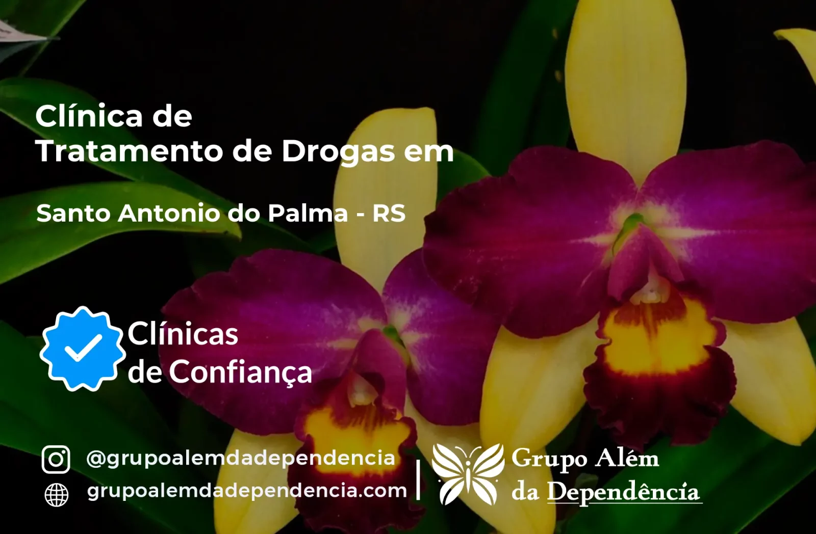 Tratamento de Drogas em Santo Antônio do Palma - RS | Clínica de Recuperação