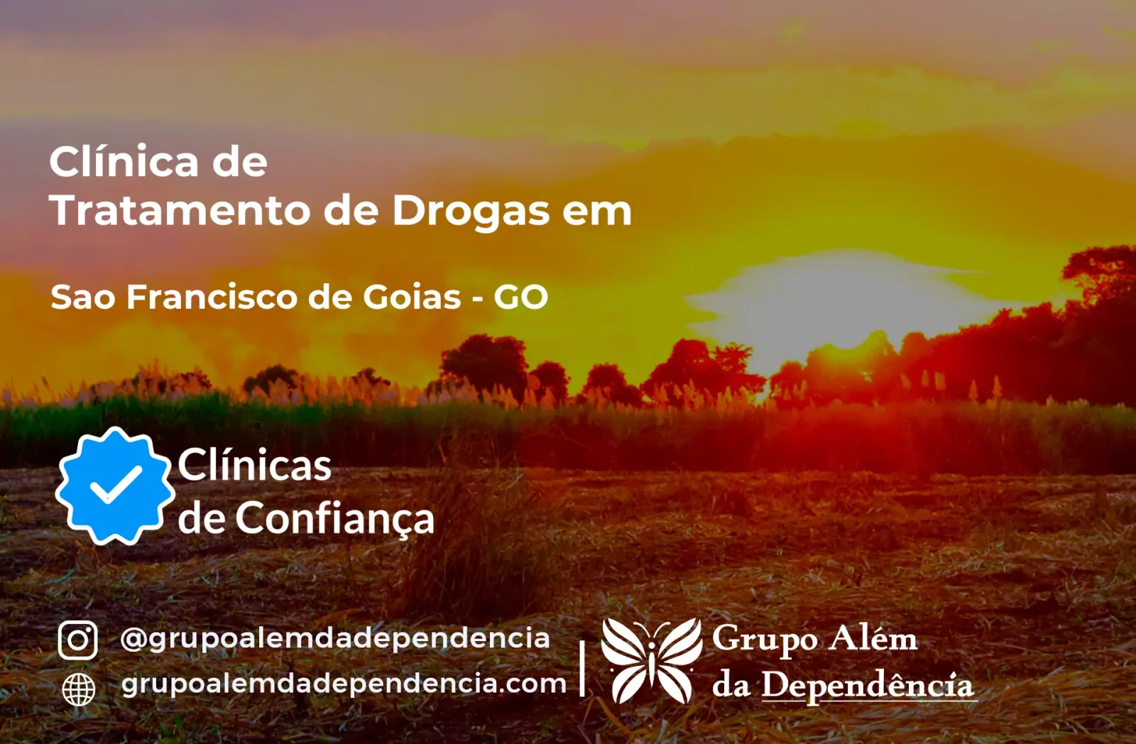 Tratamento de Drogas em São Francisco de Goiás - GO | Clínica de Recuperação