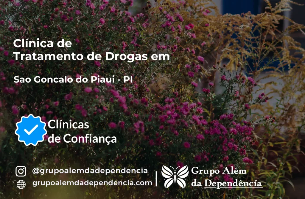 Tratamento de Drogas em São Gonçalo do Piauí - PI 1 Tratamento de Drogas em São Gonçalo do Piauí - PI | Clínica de Recuperação