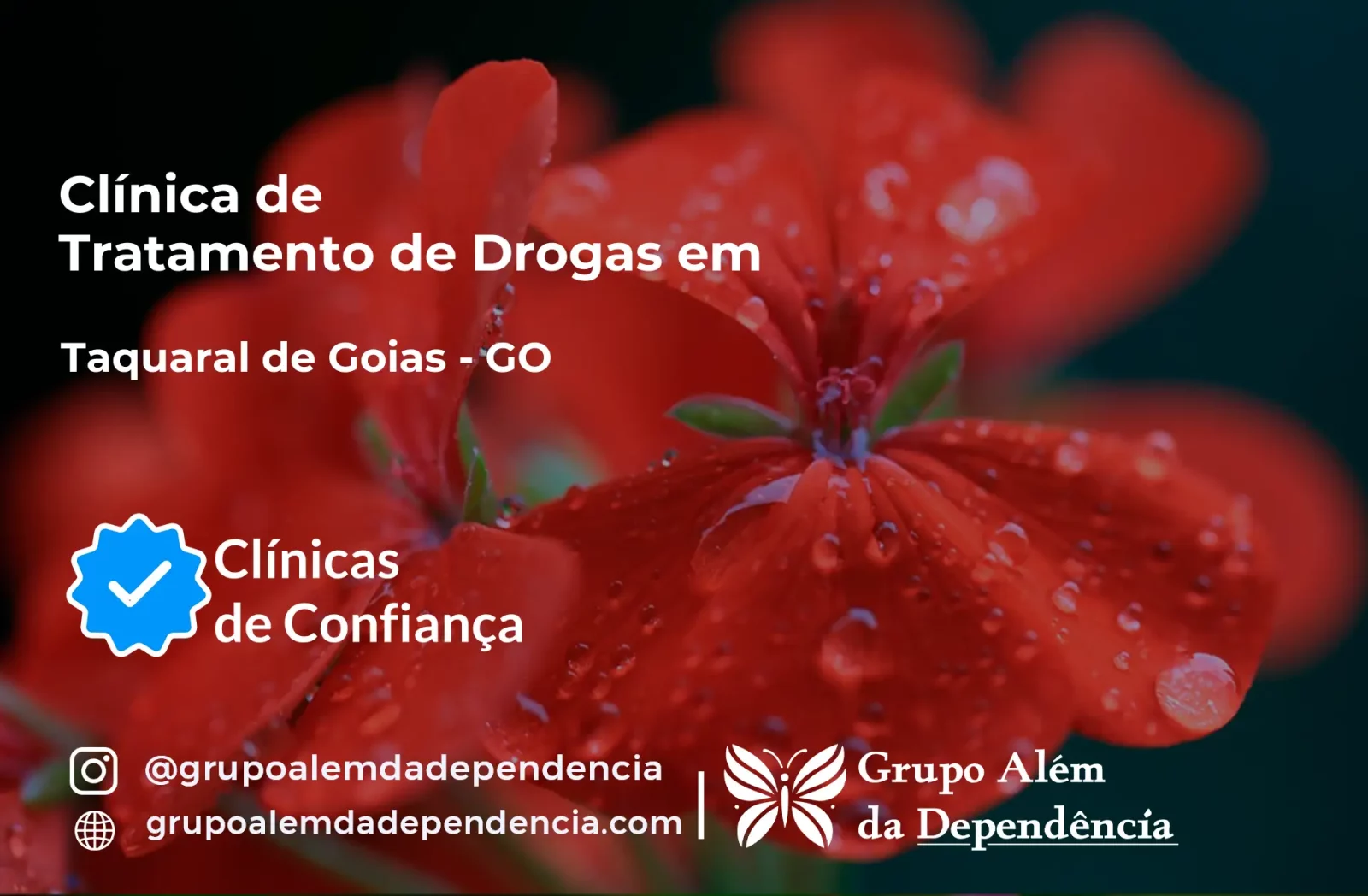 Tratamento de Drogas em Taquaral de Goiás - GO | Clínica de Recuperação