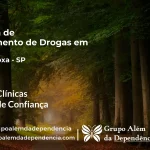Tratamento de Drogas em Terra Roxa - SP | Clínica de Recuperação