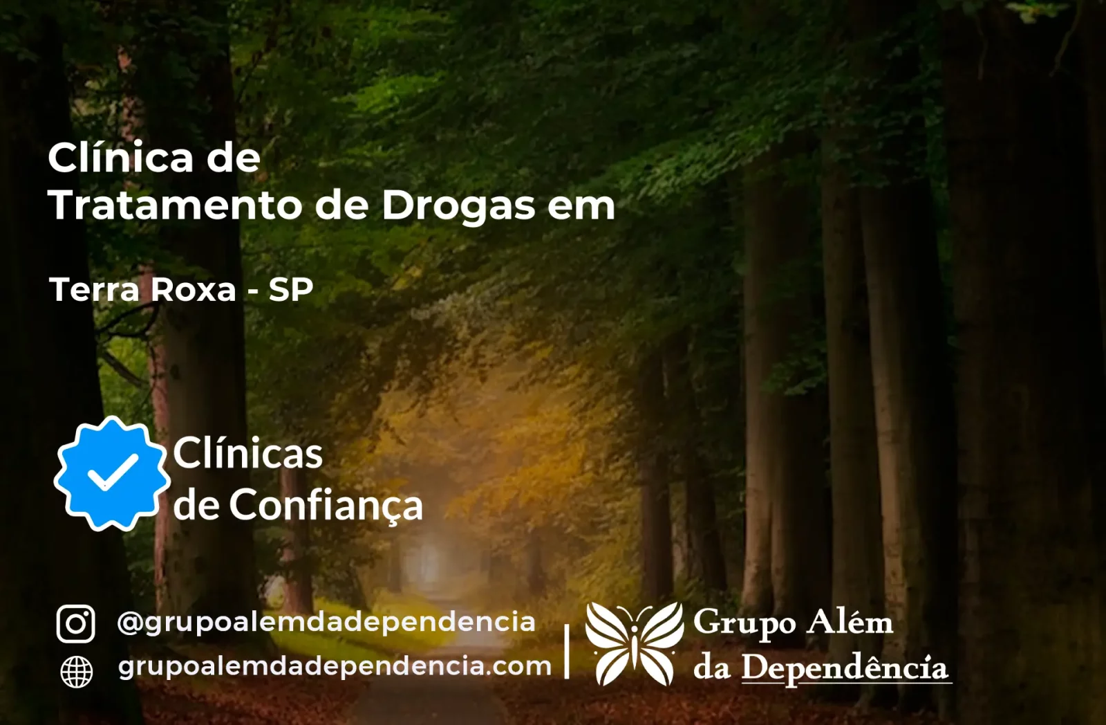 Tratamento de Drogas em Terra Roxa - SP | Clínica de Recuperação