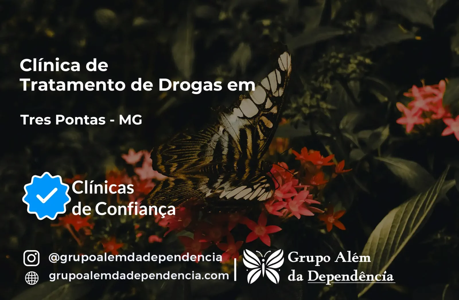 Tratamento de Drogas em Três Pontas - MG | Clínica de Recuperação