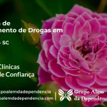 Tratamento de Drogas em Treviso - SC | Clínica de Recuperação