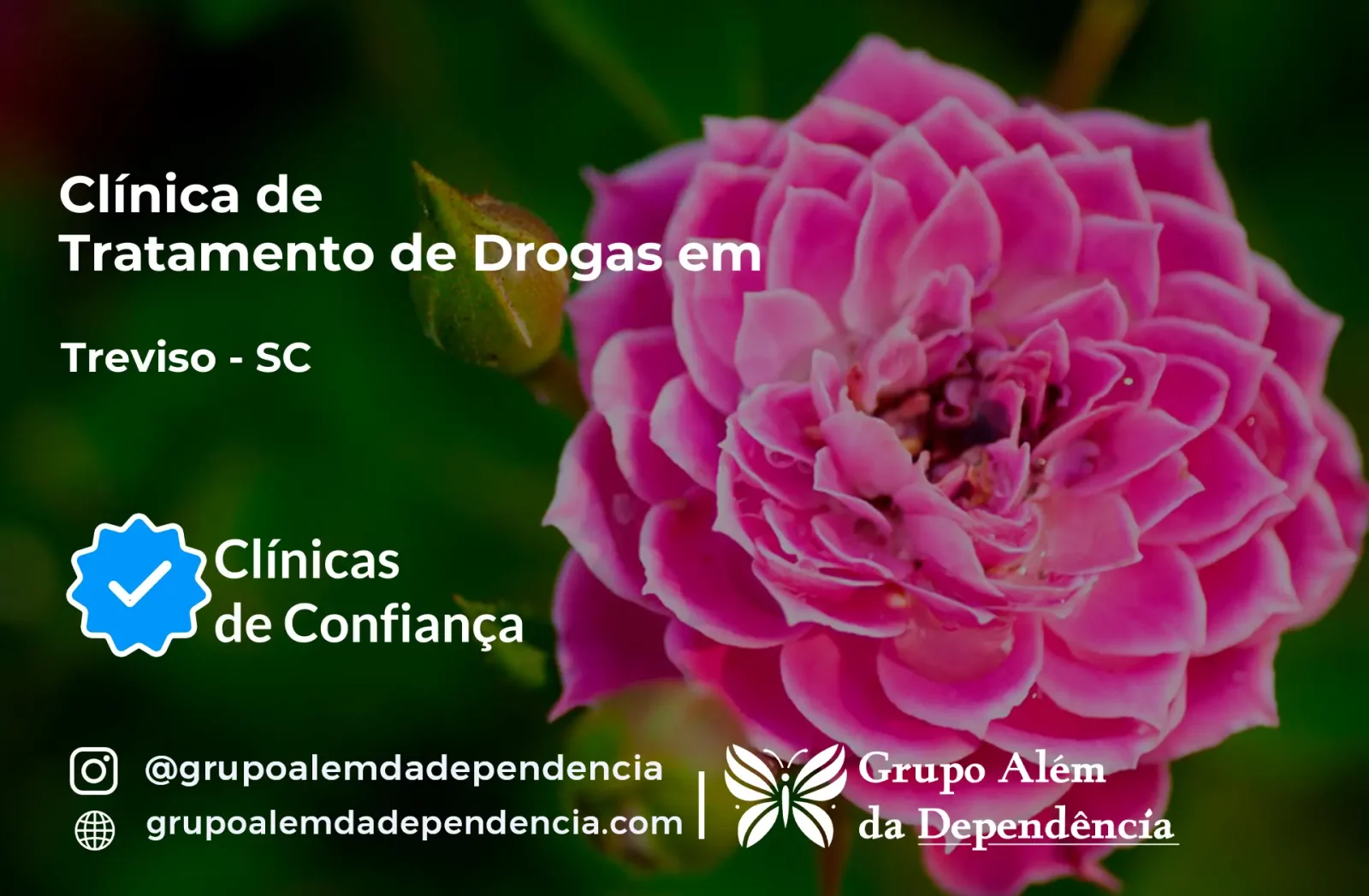 Tratamento de Drogas em Treviso - SC | Clínica de Recuperação