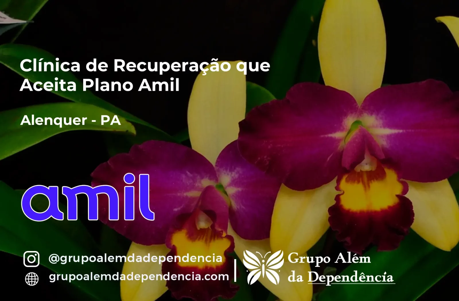 Clínica de Recuperação que Aceita Amil em Alenquer - PA