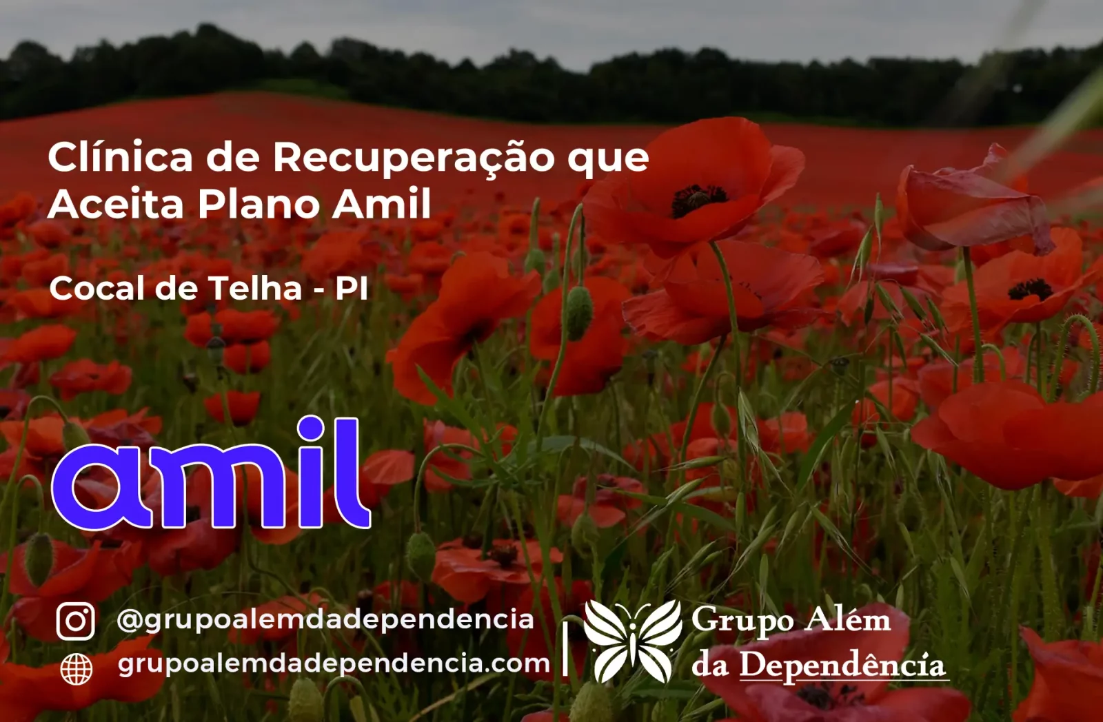 Clínica de Recuperação que Aceita Amil em Cocal de Telha - PI