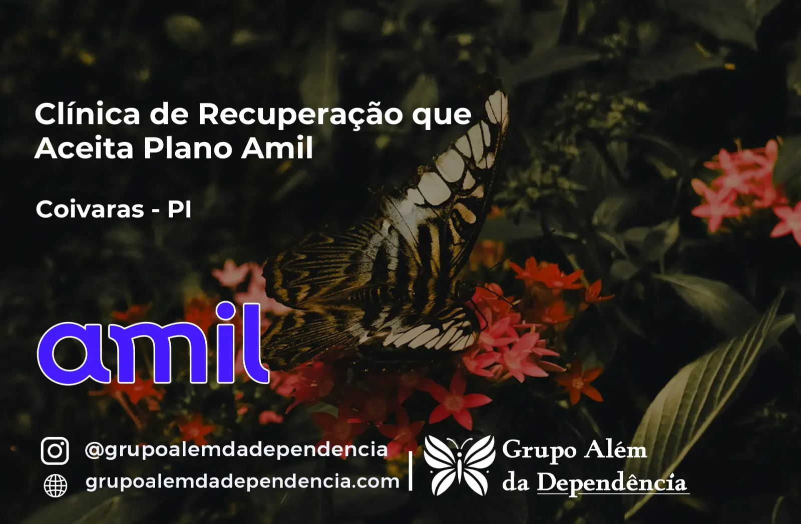 Clínica de Recuperação que Aceita Amil em Coivaras - PI