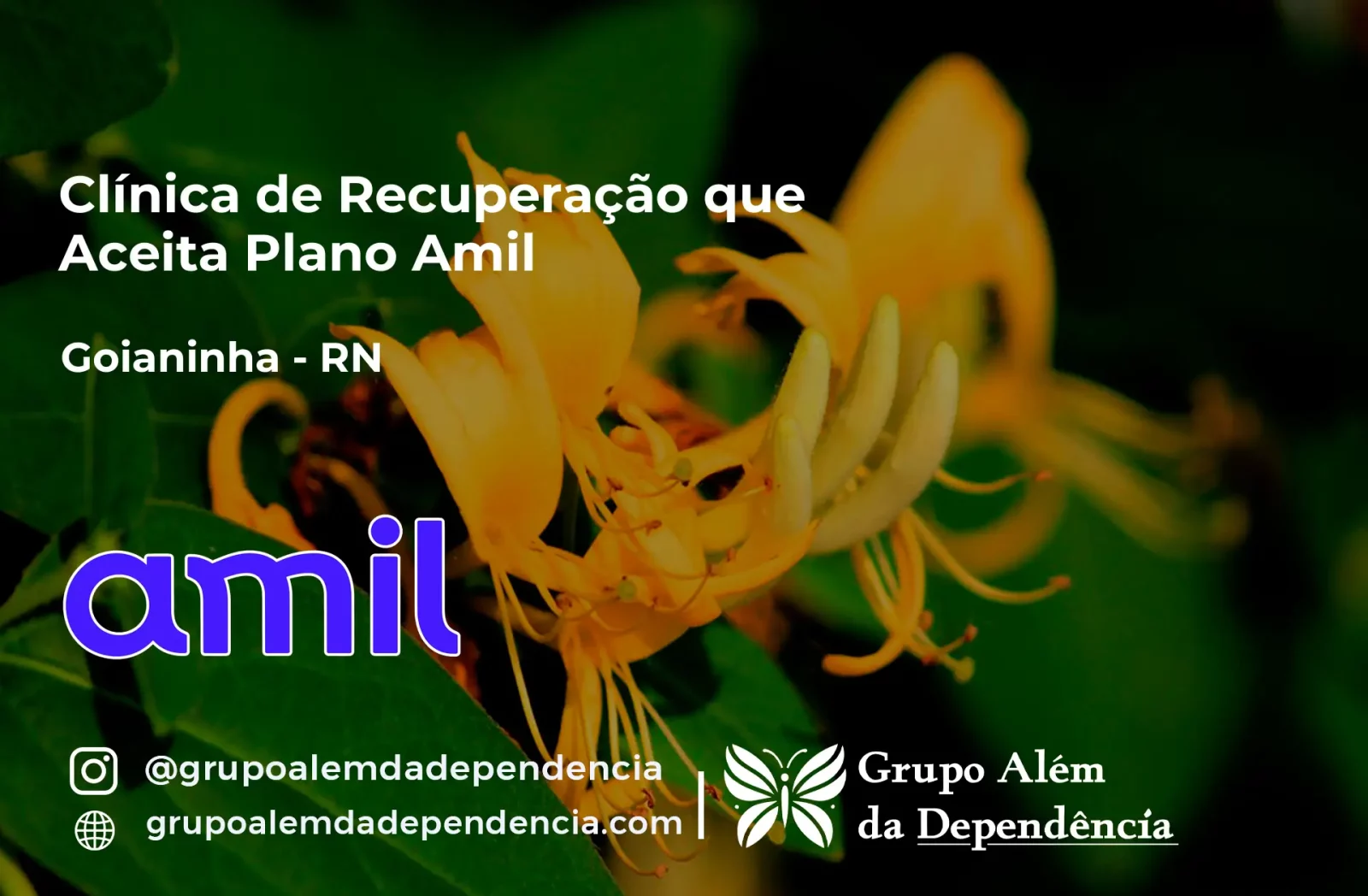 Clínica de Recuperação que Aceita Amil em Goianinha - RN