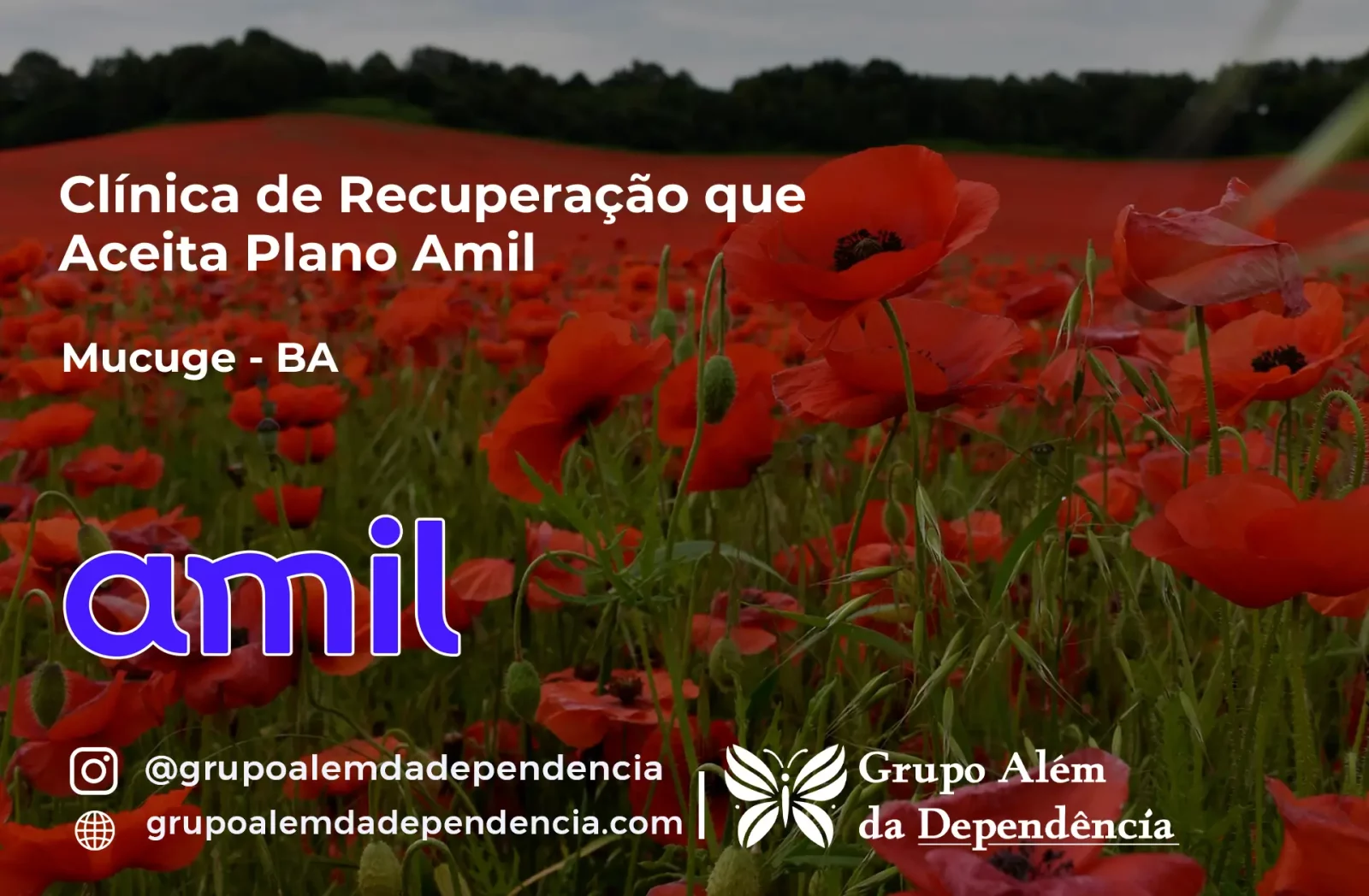 Clínica de Recuperação que Aceita Amil em Mucugê - BA