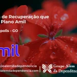 Clínica de Recuperação que Aceita Amil em Palminópolis - GO