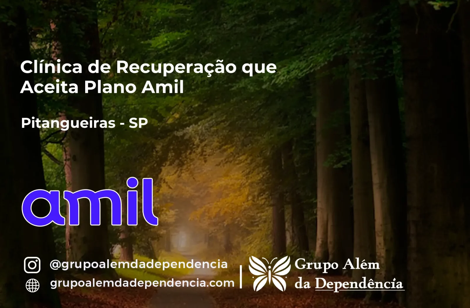 Clínica de Recuperação que Aceita Amil em Pitangueiras - SP