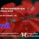 Clínica de Recuperação que Aceita Amil em Porto Real do Colégio - AL