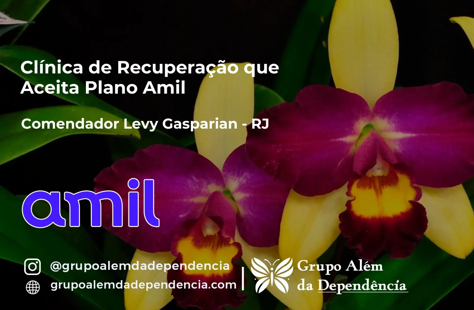 Clínica de Recuperação que Aceita Amil em Comendador Levy Gasparian - RJ