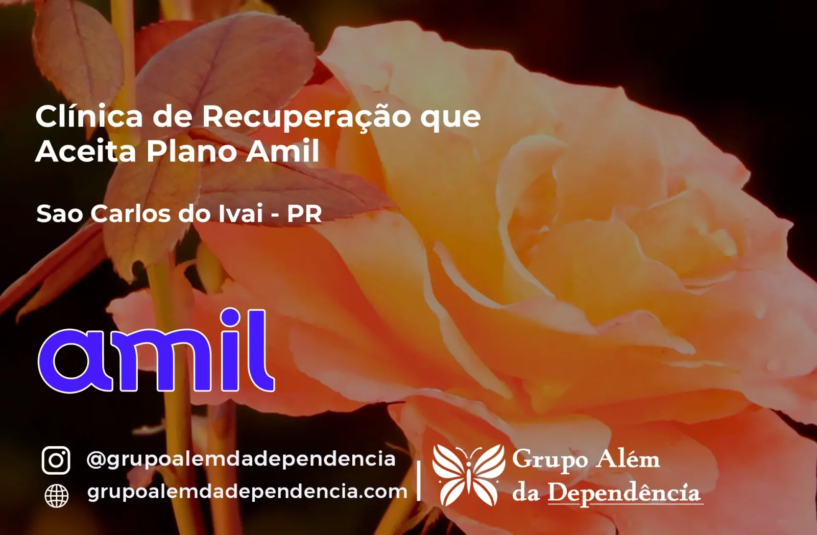 Clínica de Recuperação que Aceita Amil em São Carlos do Ivaí - PR