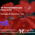 Clínica de Recuperação que Aceita Amil em São Luís Gonzaga do Maranhão - MA