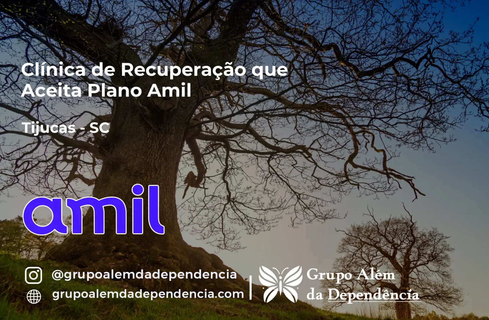 Clínica de Recuperação que Aceita Amil em Tijucas - SC