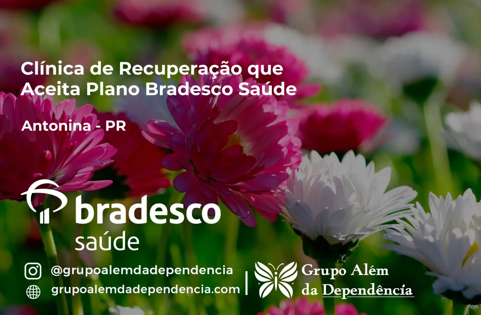 Clínica de Recuperação que Aceita Bradesco Saúde em Antonina - PR
