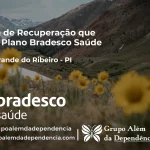 Clínica de Recuperação que Aceita Bradesco Saúde em Baixa Grande do Ribeiro - PI